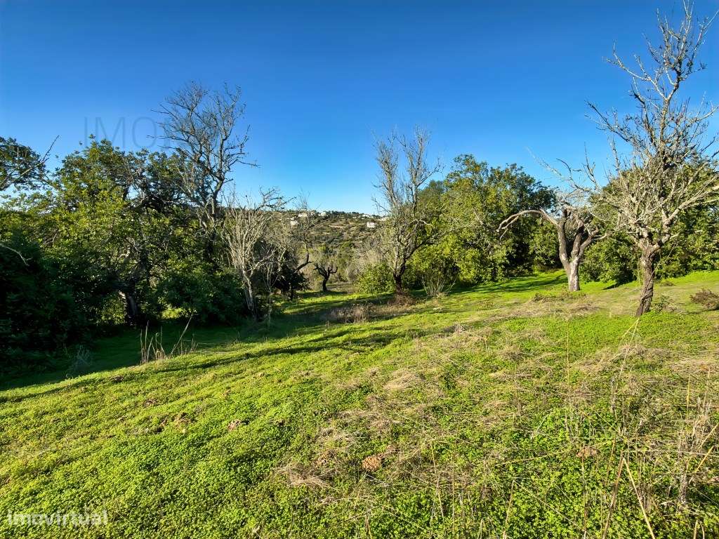 Terreno rústico com viabilidade de construção em Paderne - Grande imagem: 4/18