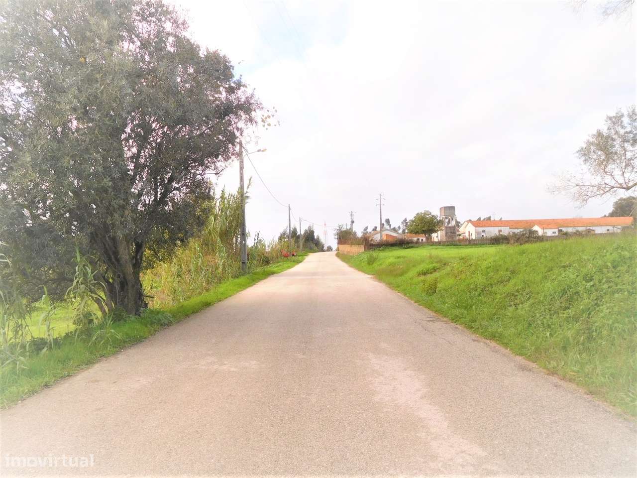 Terreno para construção com 4990m2  / Pinheiros / Leiria - Grande imagem: 4/7