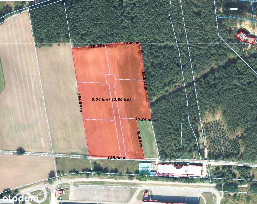 Karolin, teren inwestycyjny 38.600 m2 - Pełny obrazek: 5/6