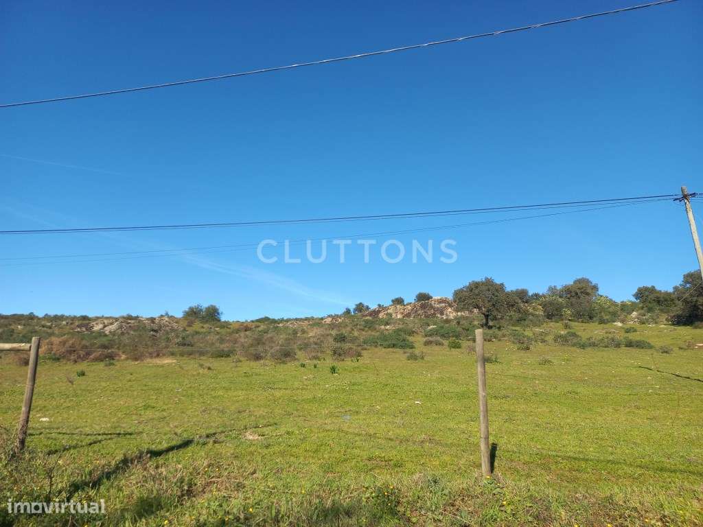 Terreno - Quinta, Investimento, 12 hectares e 844 m2 edificados, Évora-24