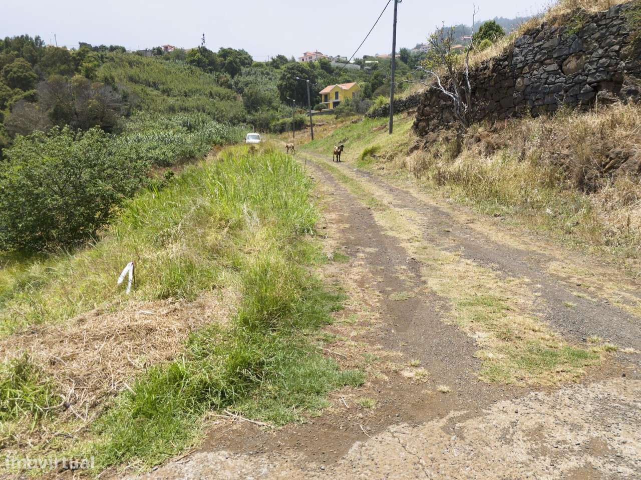Terreno à venda em Santa Cruz com viabilidade de construção. - Grande imagem: 4/19