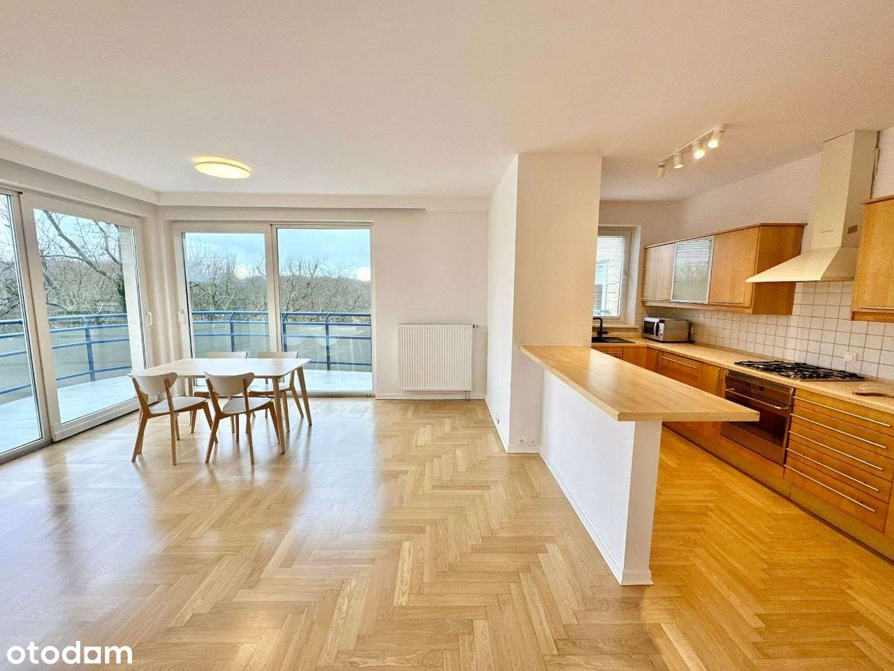 3 pokoje / 75m2 / ul Drawska Ochota- widok na Park-1