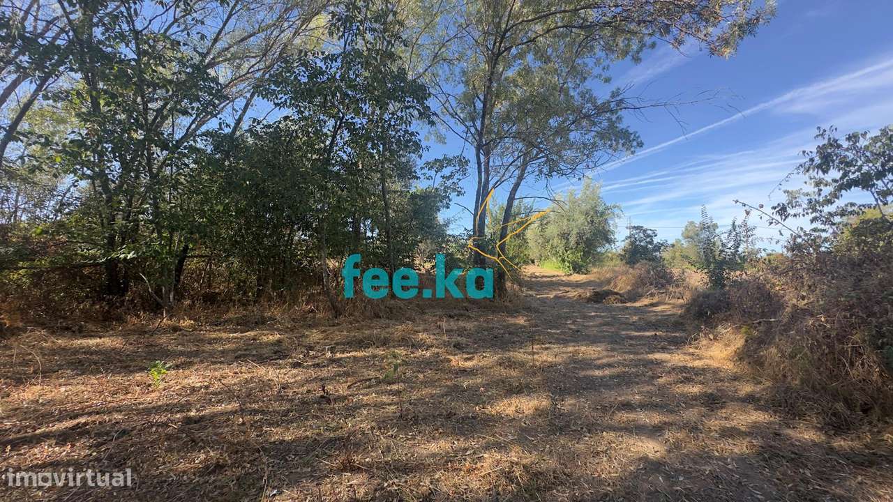 Terreno em Ladoeiro-19