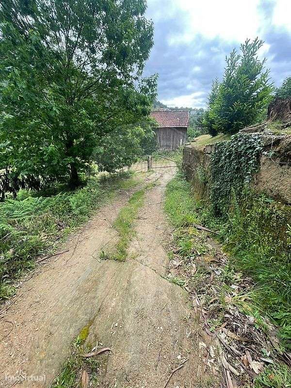 Terreno  para venda-7