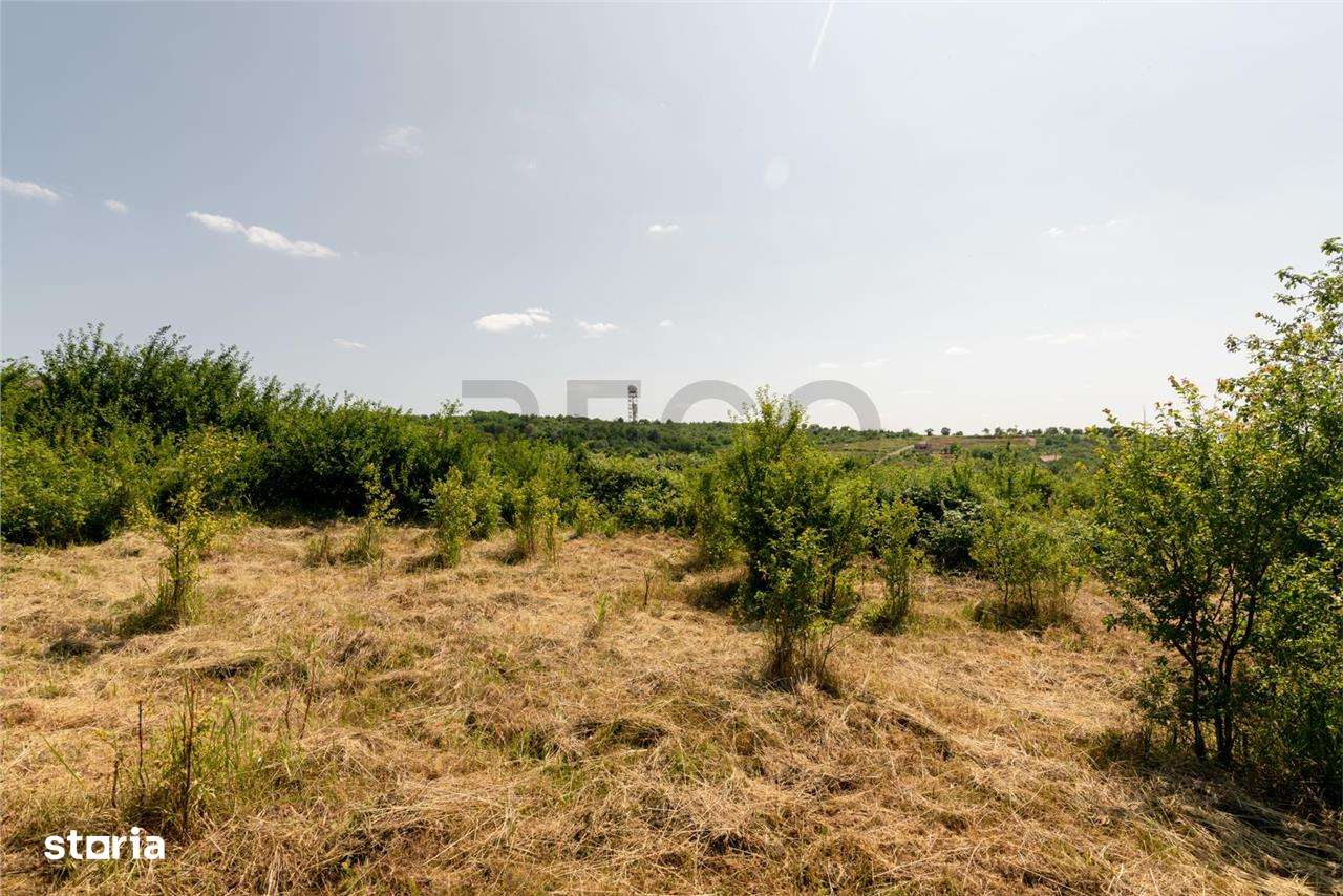 RECO Teren intravilan 1200 mp- front  30ml ,cu utilitati, Paleu - Imagine principală: 4/20