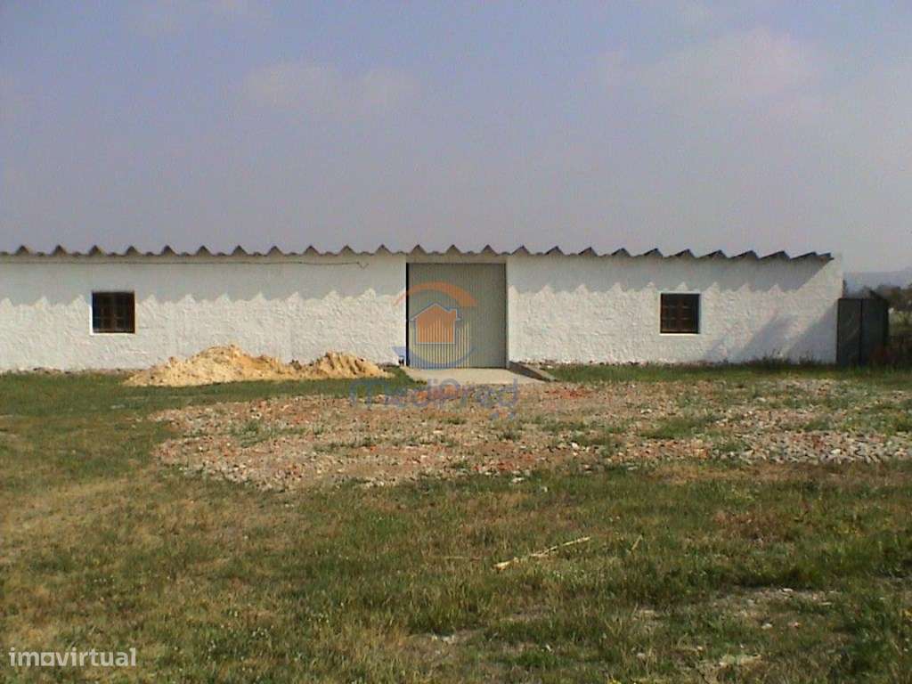 MTM6872 - Quintinha 11.500m2 | Palmela-20