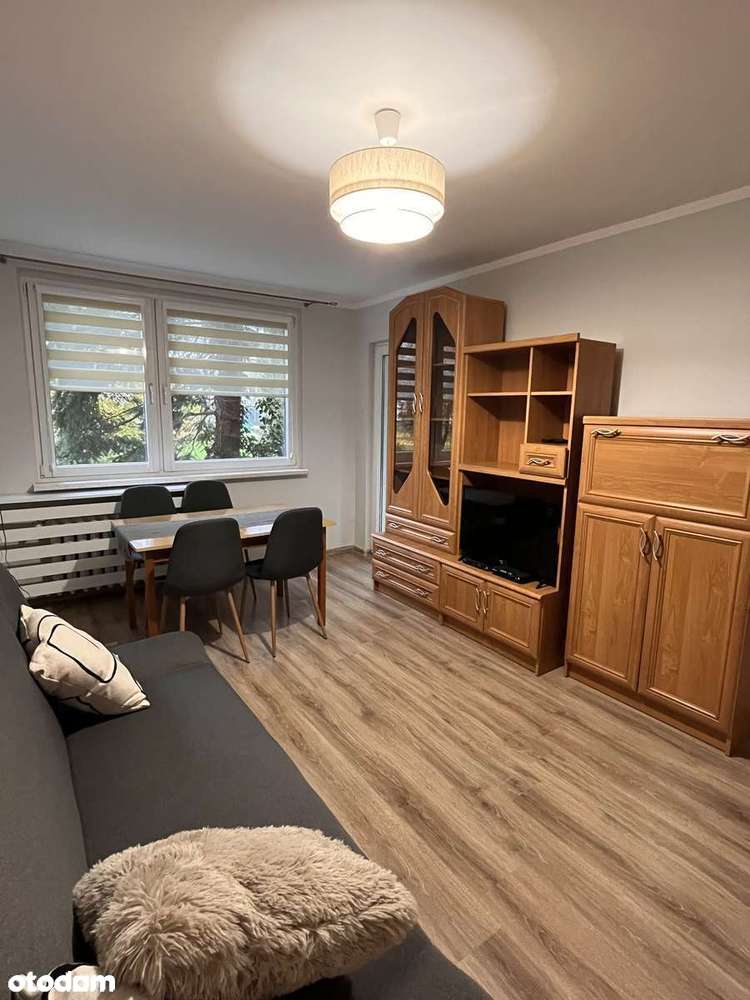 Przytulne , dwupokojowe mieszkanie na Zakrzowie - Pełny obrazek: 3/11