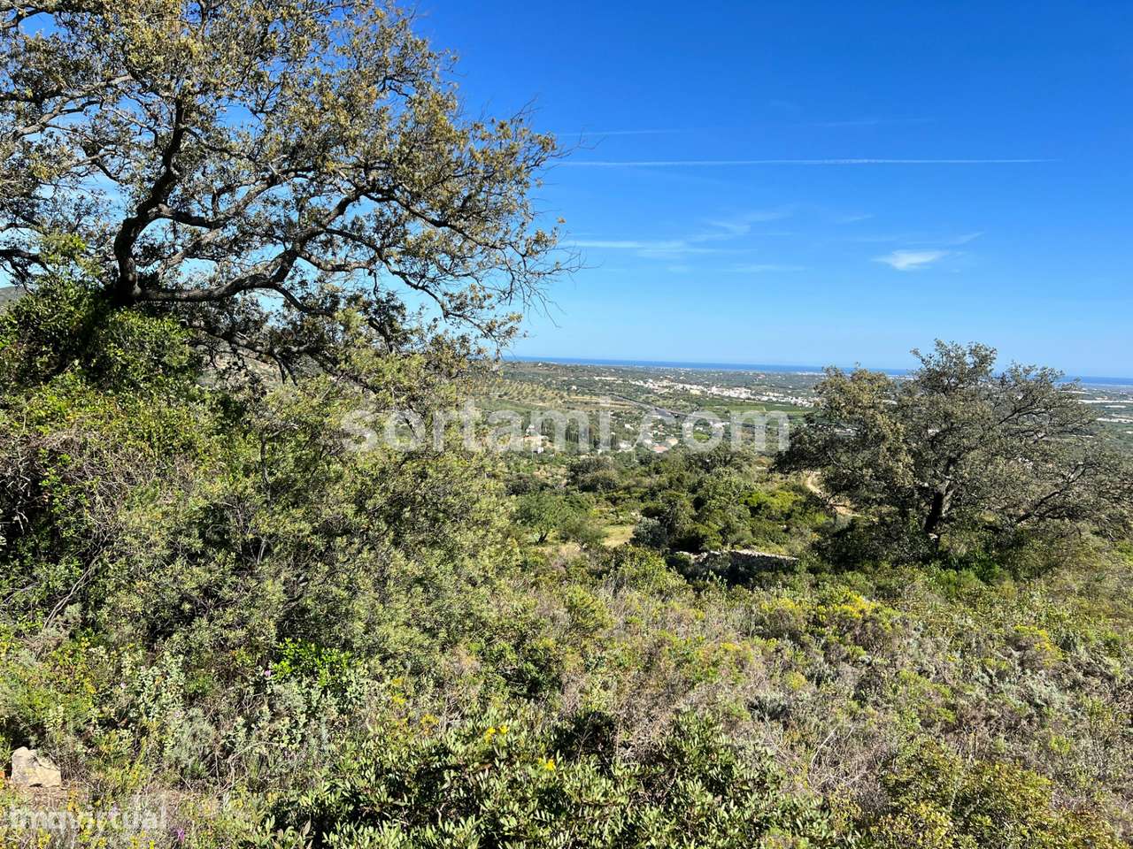 Terreno Rústico  Venda em Conceição e Estoi,Faro - Grande imagem: 4/9