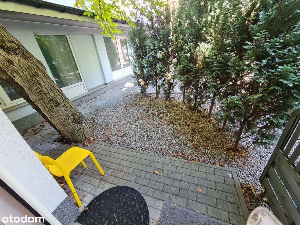 Parterowa oficyna w centrum Krakowa-1