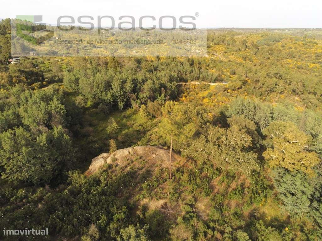 Terreno com vistas panorâmicas - Palvarinho - Grande imagem: 1/10