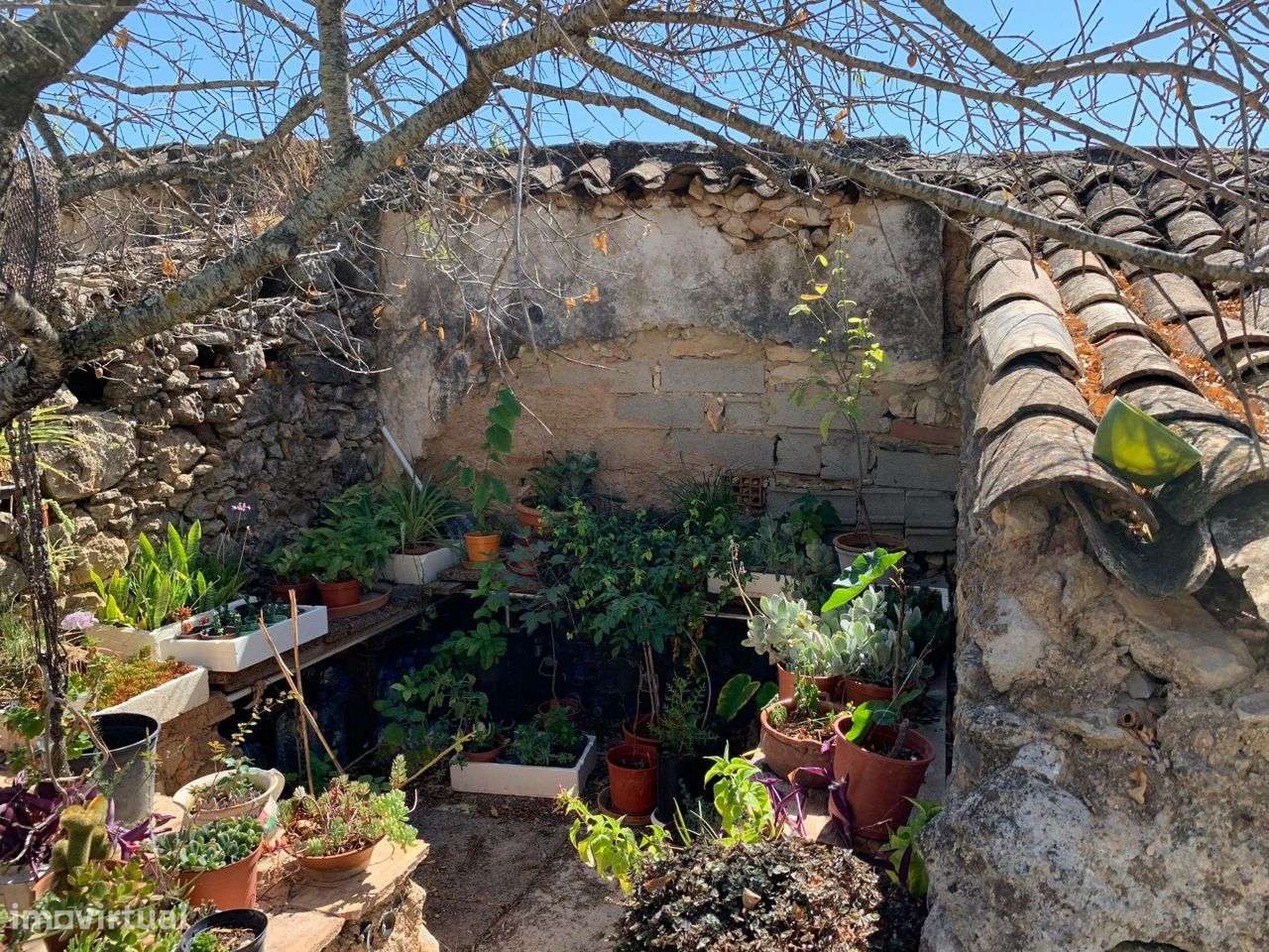 Terreno Urbano, com 3 artigos, Colmeal-59