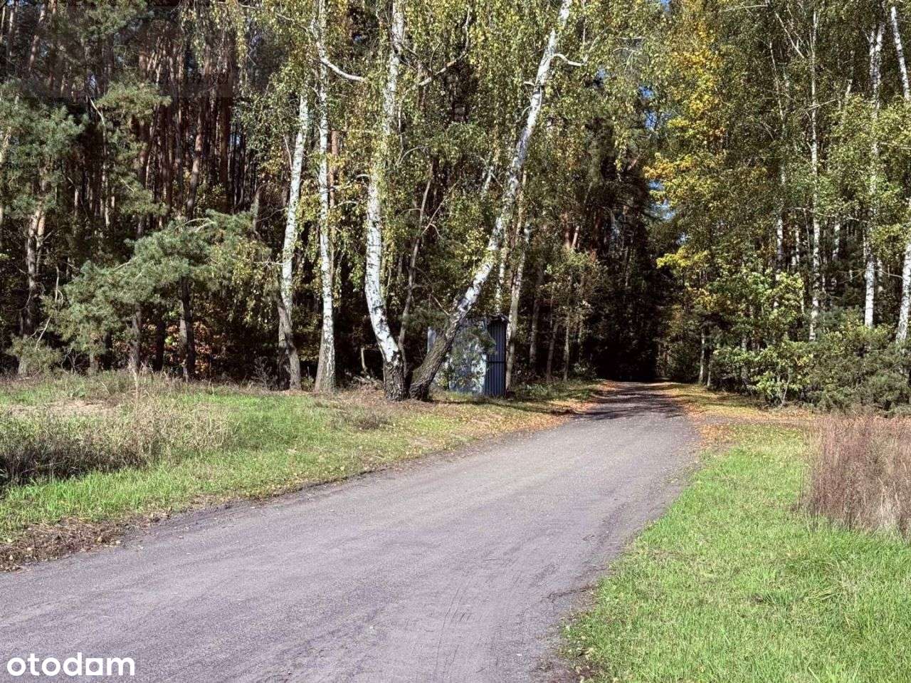 Działka, 2 099 m², Mrożewice-4