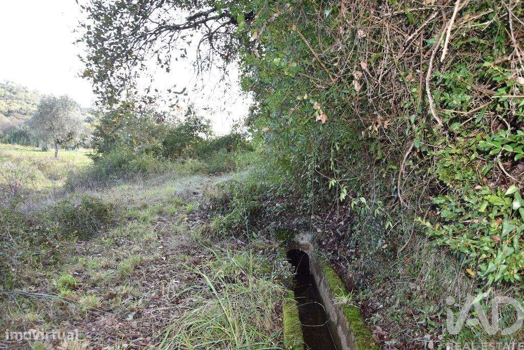 Terreno Agrícola em Freixianda, Ribeira do Fárrio e Formigais - Grande imagem: 5/40