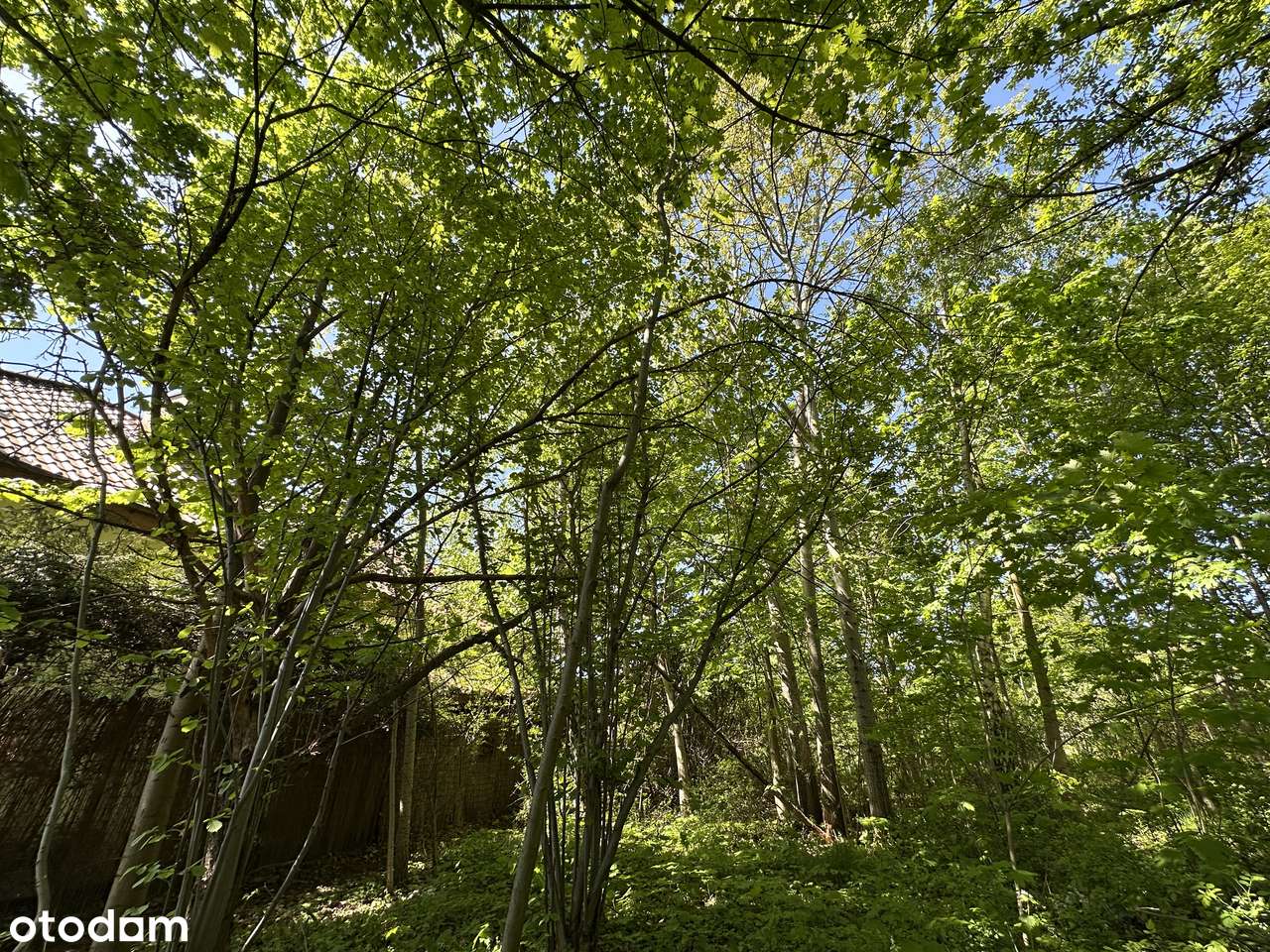 Działka budowlana z projektem i WZ ul. Drwęcka 27a Radiostacja Doły - Pełny obrazek: 5/15