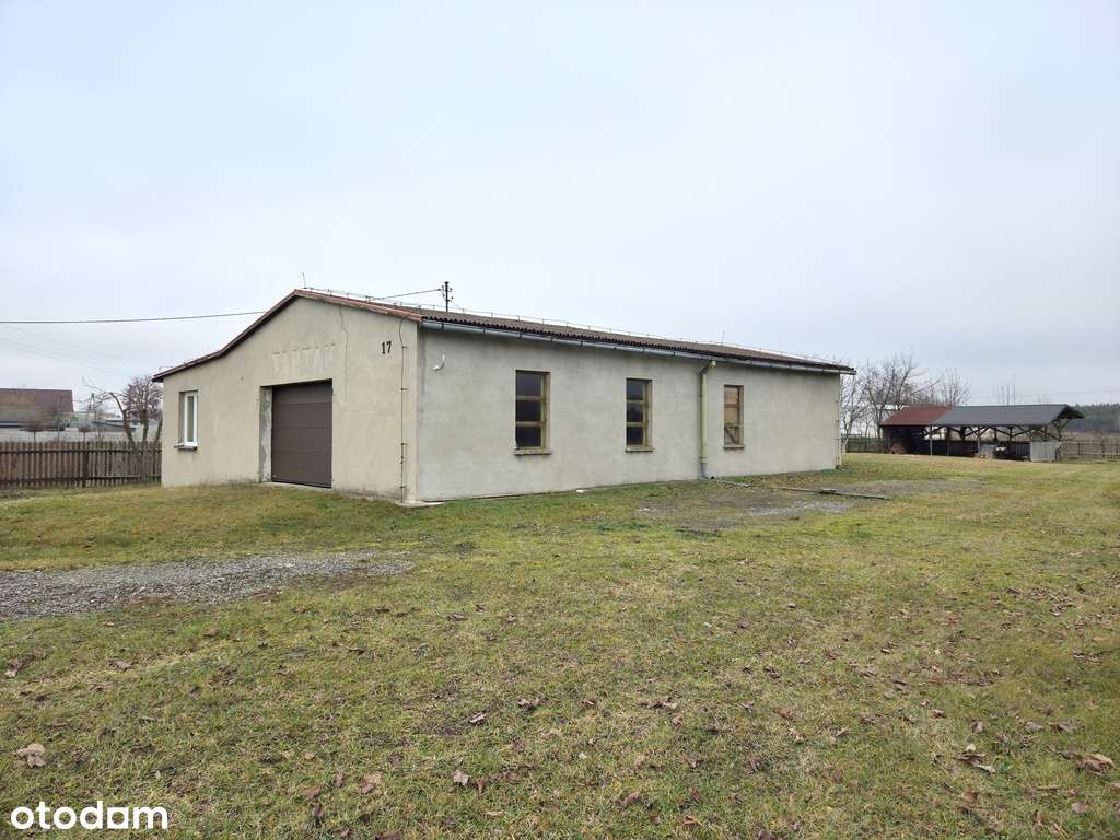 Tartak / hala przy DK486 – świetna lokalizacja! - Pełny obrazek: 3/7