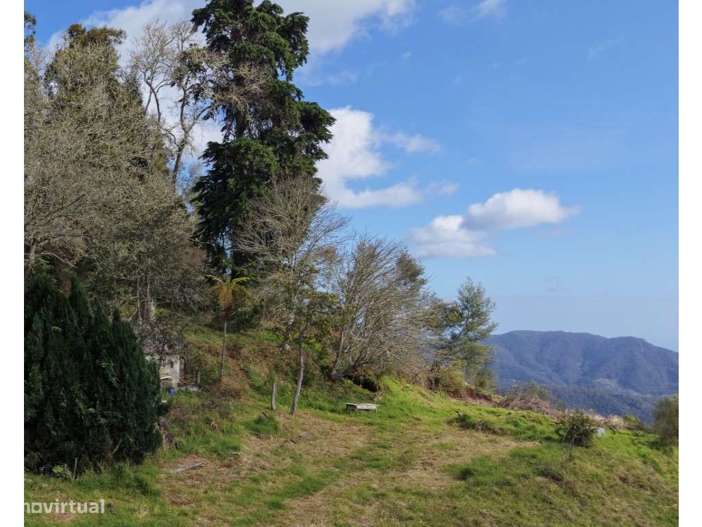 Moradia com terreno de 1.2 ha - Santo da Serra-14