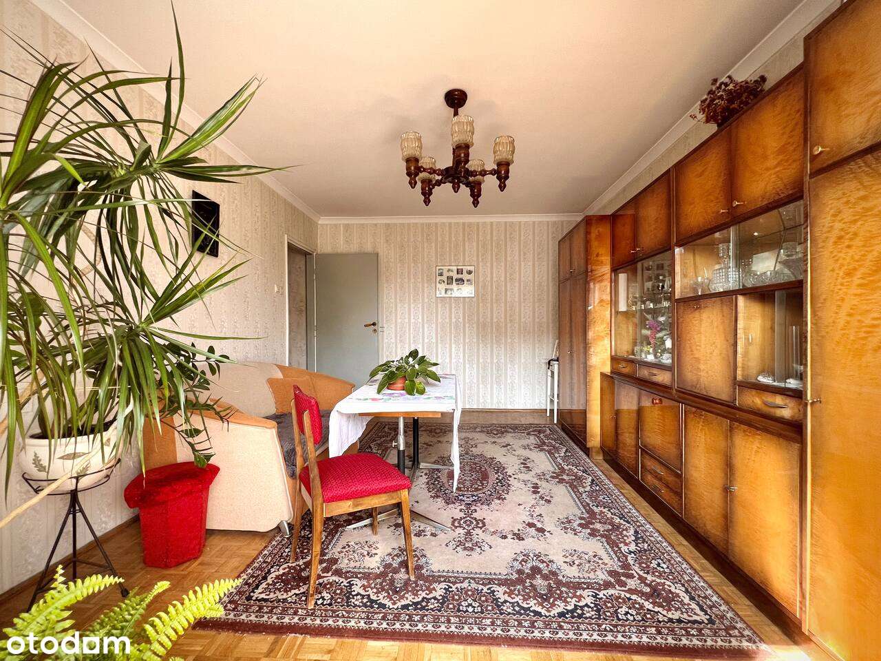 2 pokoje w Centrum Poznania - ul. Karmelicka, przy samym AWF-ie - Pełny obrazek: 4/18