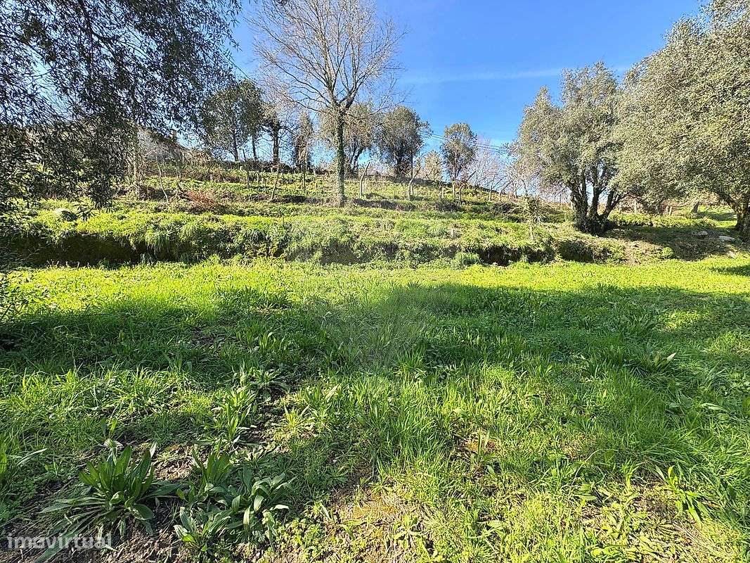 Terreno  para venda-9