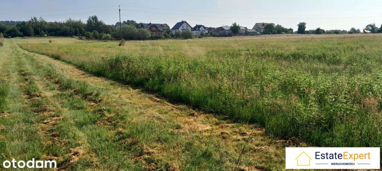 Atrakcyjne działki budowlane Koziel gm. Raków - Pełny obrazek: 4/8
