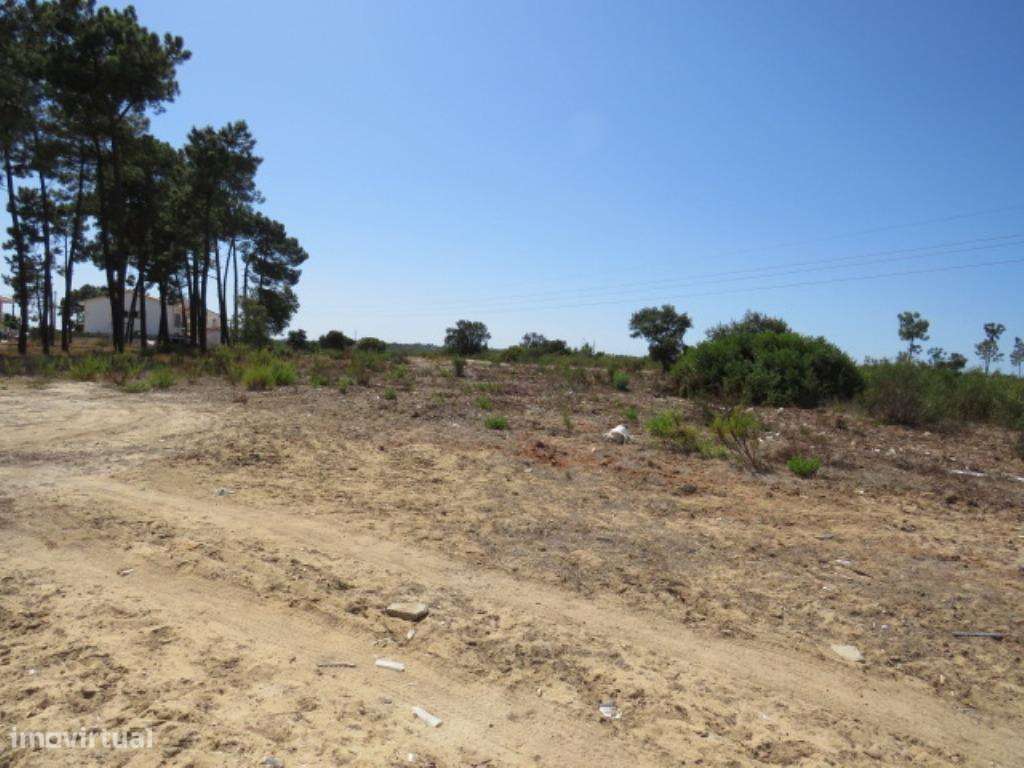 Terreno para Desenvolvimento Residencial com PIP Aprovado –... - Grande imagem: 5/5