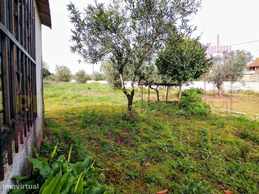 Moradia M2 em pedra; c/ terreno- Pronta a habitar - Penela-23