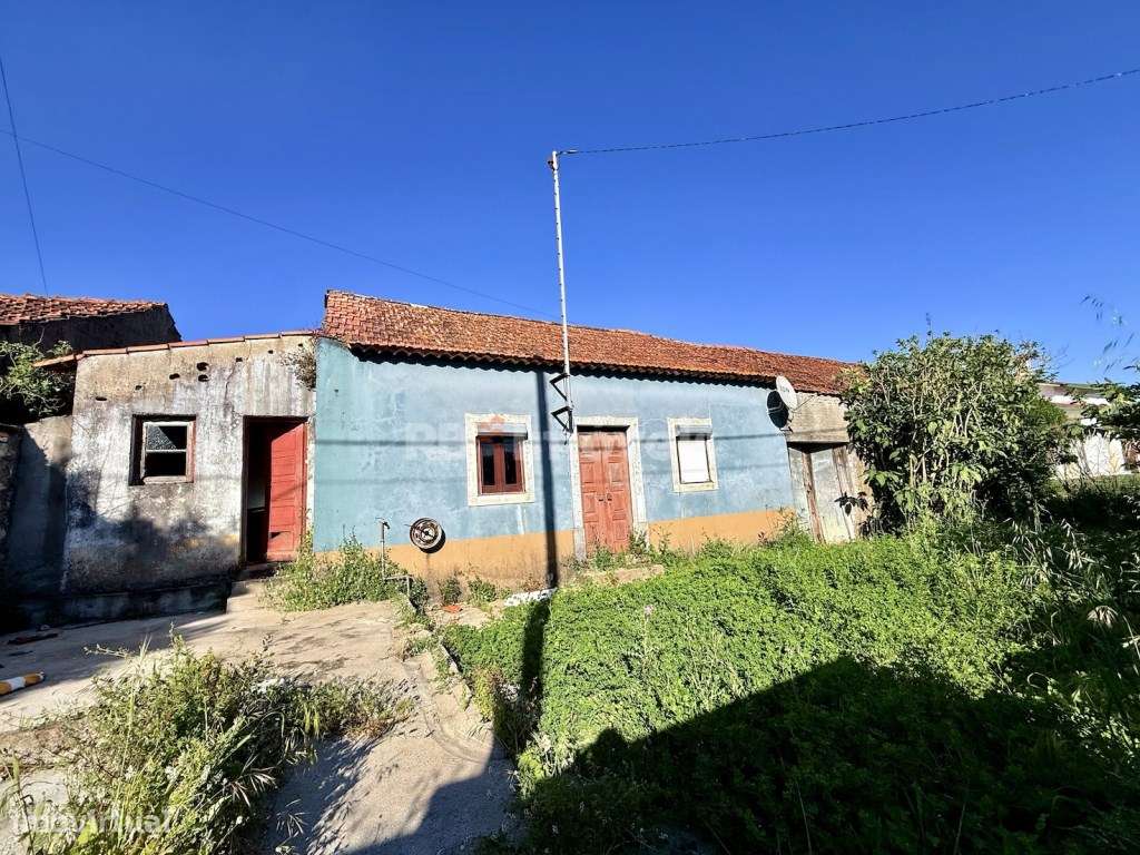 Moradia T3 p/ Recuperar em Pena - Chancelaria, Torres Novas-3