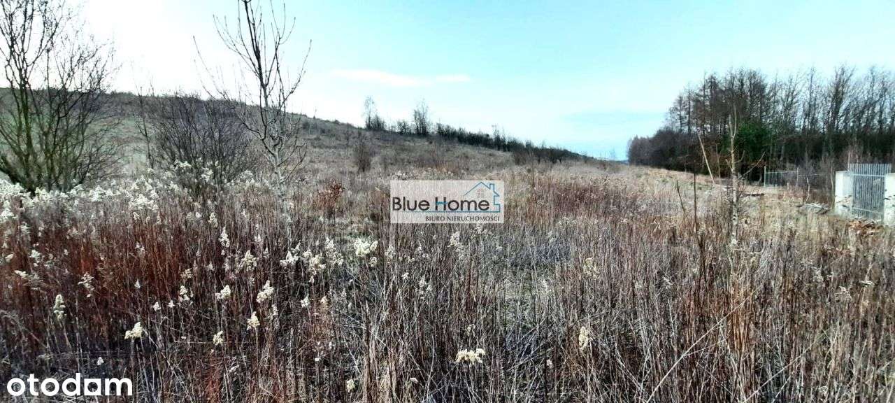 Duża działka tereny zielone spokojna okolica Wz - Pełny obrazek: 5/5