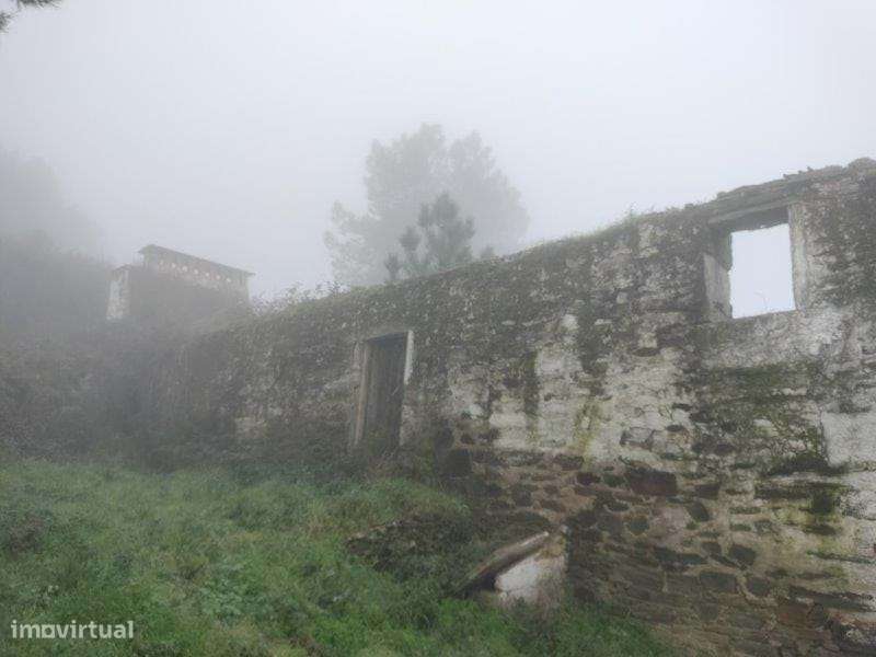 Terreno | Vila Real | 57 Hectares - Grande imagem: 4/6