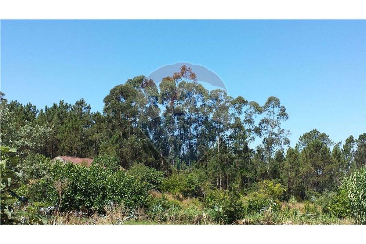 TERRENO COM VIABILIDADE DE CONSTRUÇÃO - Grande imagem: 2/5