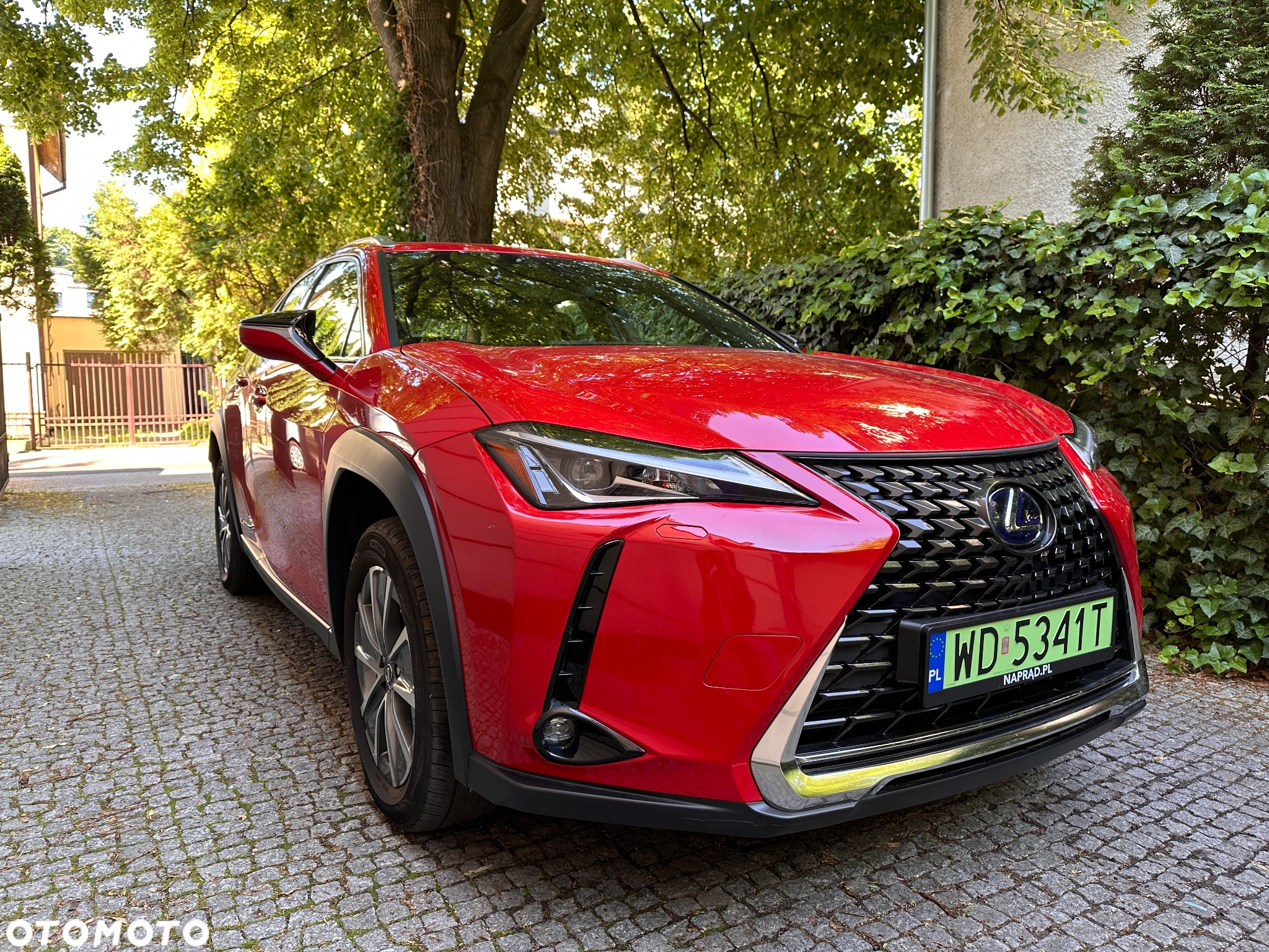 Lexus UX 300e 54.3 kWh Business Edition 2WD - 8