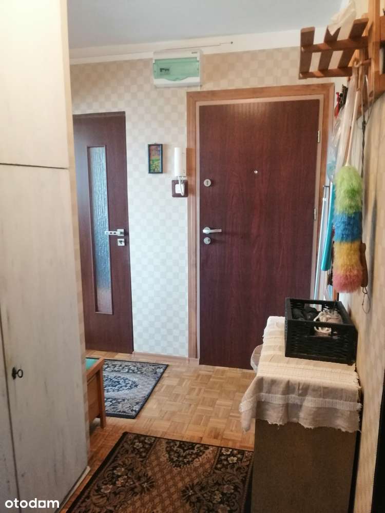 Rozkładowe-Dwustronne-3 pok.-ul.Przyjaźni-piwnica - Pełny obrazek: 3/19