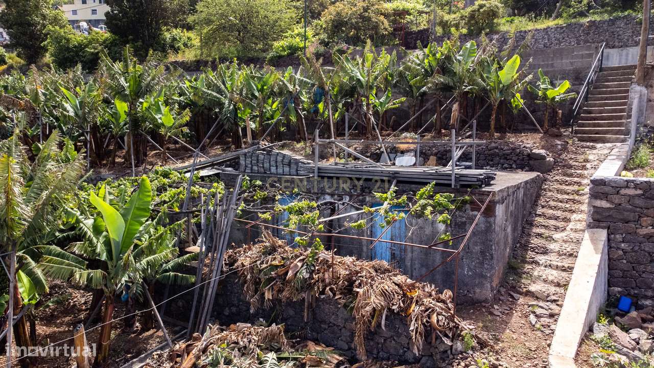 Terreno para construção 1946m2 - Arco da Calheta-4