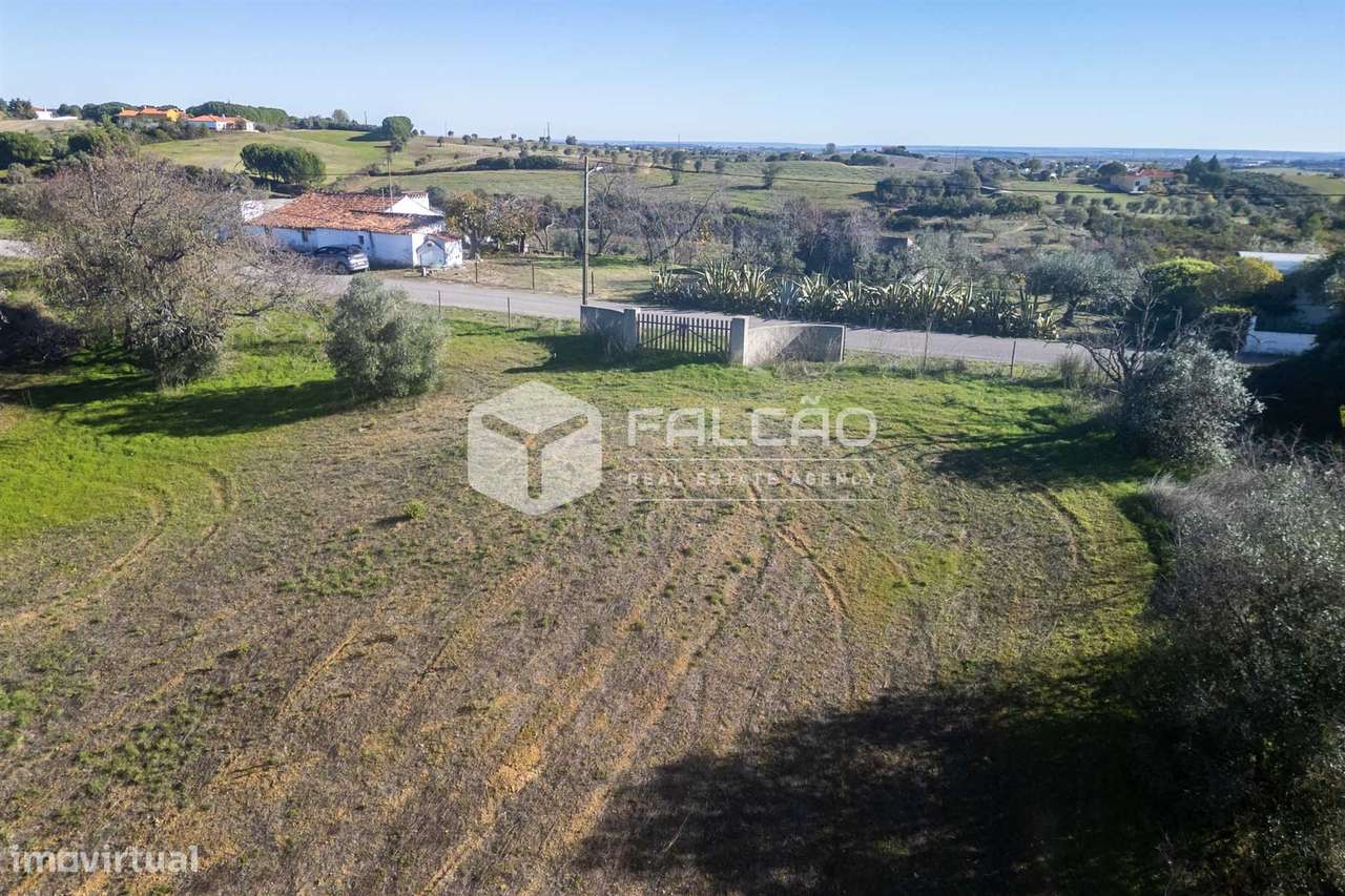 Terreno Para Construção  Venda em Moçarria,Santarém-13