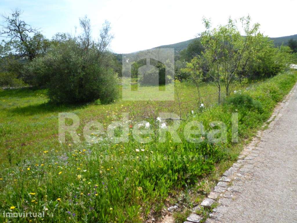 Terreno rústico, Loulé - Grande imagem: 3/15