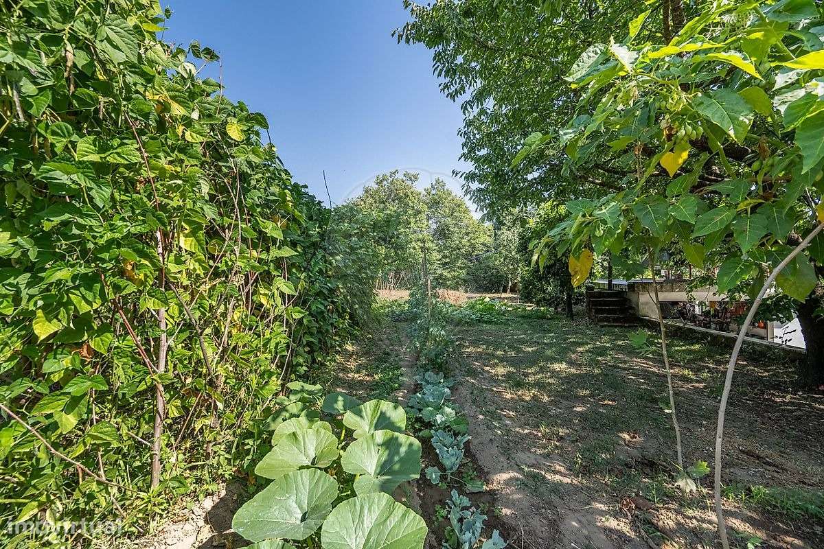 Moradia T4 com Terreno e Árvores de Fruto em Moure, Vila Verde-36
