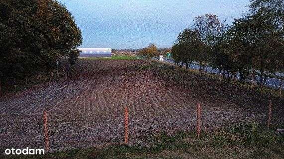 Działka Przemysłowa Inwestycyjna przy S1 - Pełny obrazek: 4/6