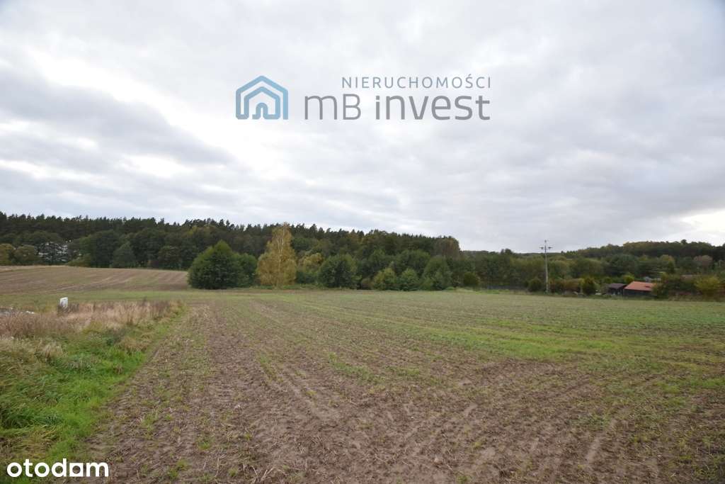 DZIAŁKA ZE STAWEM–OAZA CISZY I NATURY-ŻUŁAWKA-8