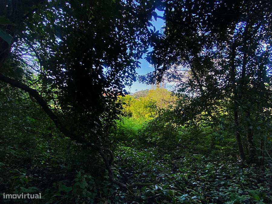 Pequena moradia T2, encantadora, autêntica, entre Óbidos e Bombarral-29