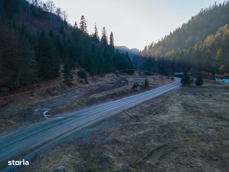 Oportunitate de investitie! Teren intravilan, Colibita, jud. Bistrita--3