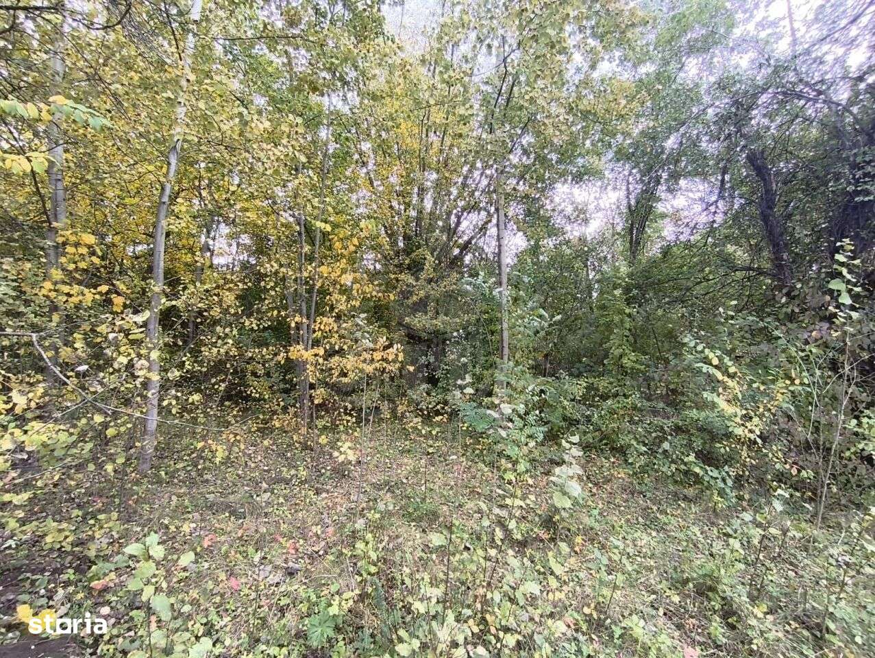 TEREN INTRAVILAN// CORNU DE JOS - Imagine principală: 5/6