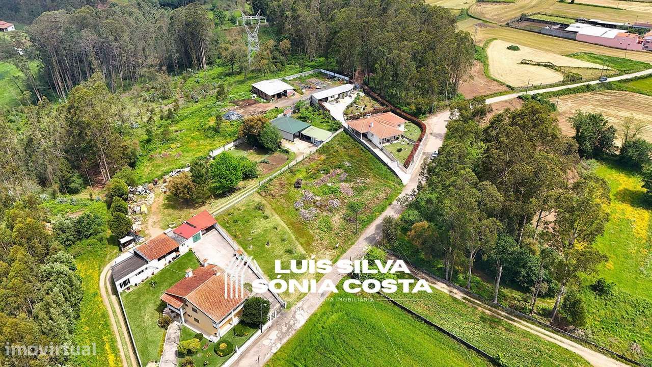 Terreno à venda na Rua Agostinho Lopes da Costa, 678 - Grande imagem: 5/11