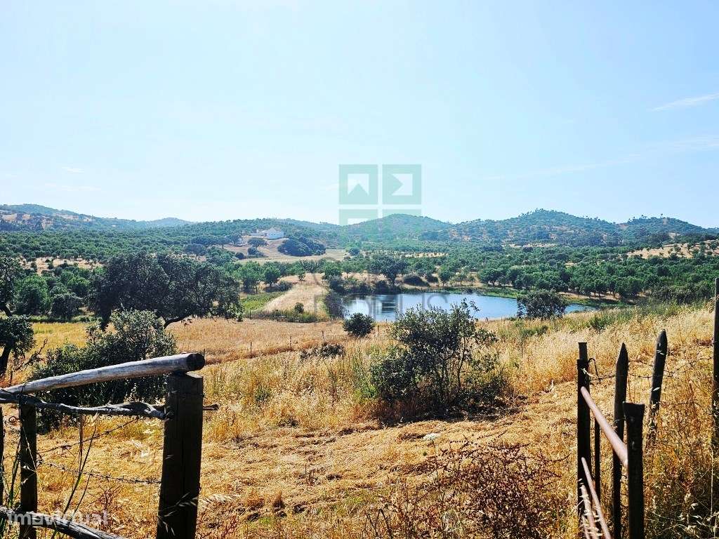 Herdade equestre com moradia T5 e piscina, 93,5ha, em Ourique, Alen...-14