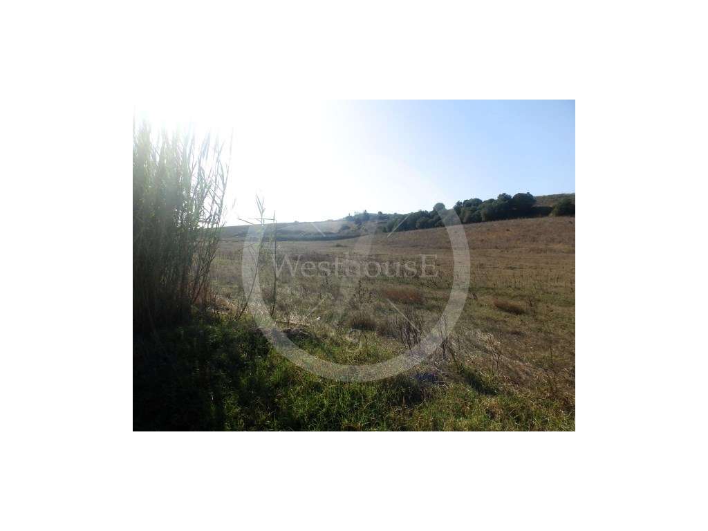 Terreno com 45.360m2 de área a 5 minutos da cidade de Torres Vedras-5