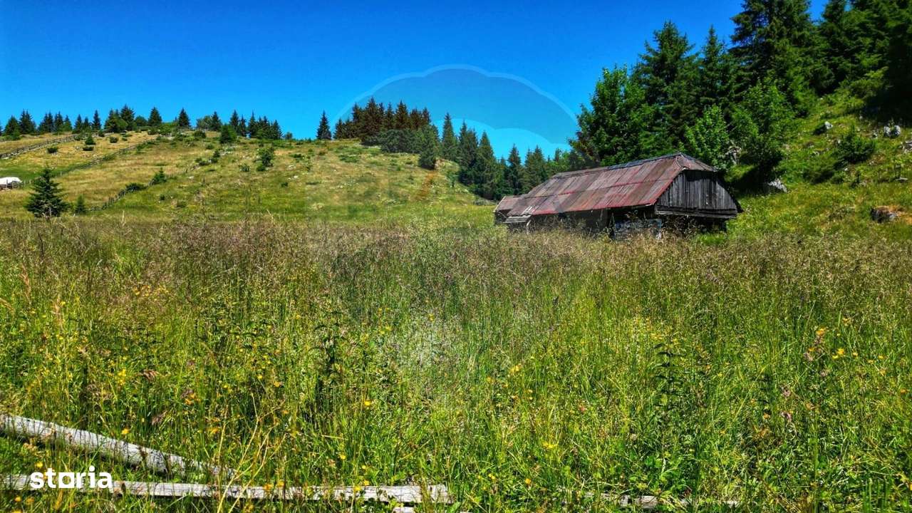 Teren de 7830mp de vanzare in Fundata! Comision 0% - Imagine principală: 3/20