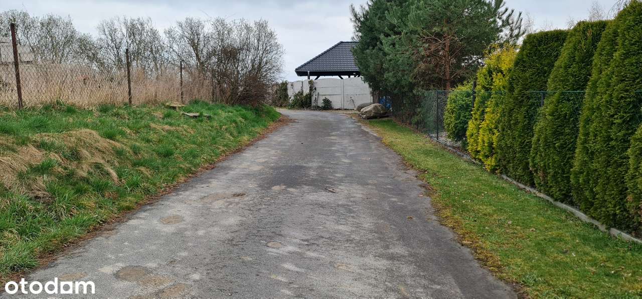 Zielęcice gm. Skarbimierz pow. Brzeg działka - Pełny obrazek: 4/5