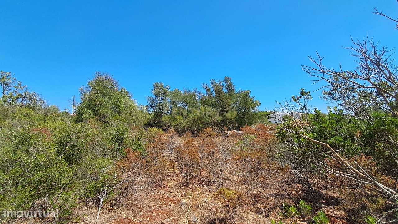 Terreno com 9.135 m² em Boliqueime-17