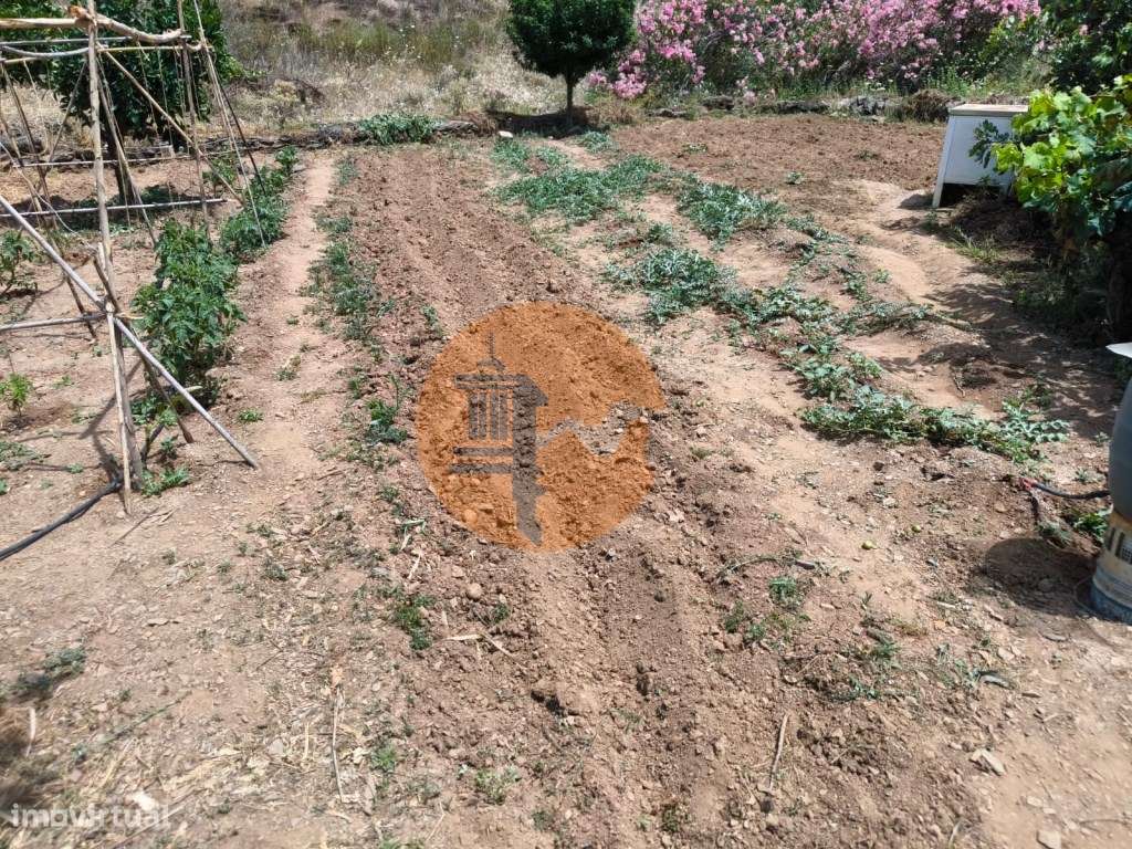 TERRENO COM 9.550 M2 - COM POÇO - NA CARRAPATEIRA EM TAVIRA - ALGARVE - Grande imagem: 4/42