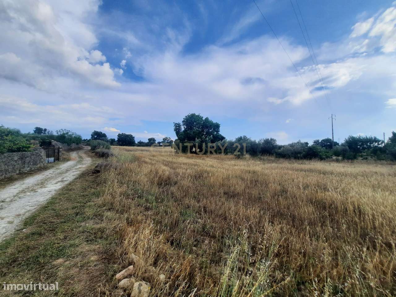Terreno em São Miguel D Acha - Grande imagem: 2/18