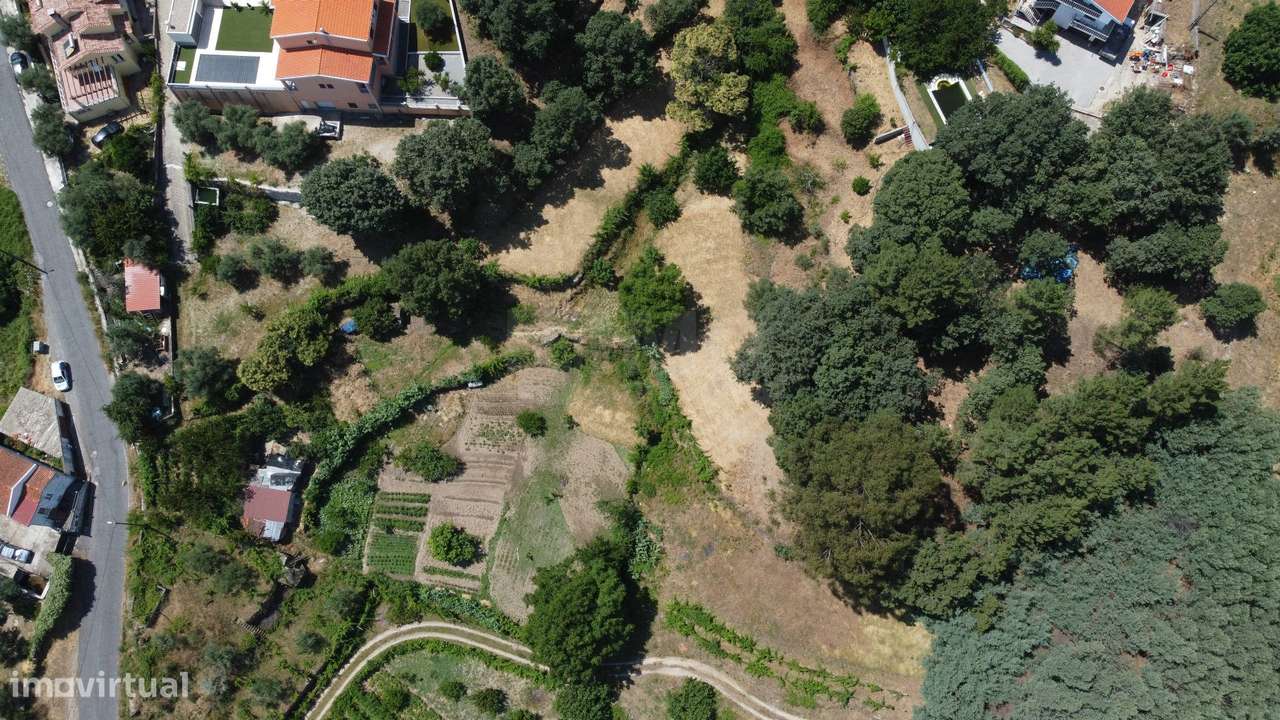 Terreno com 4.522 m² e Viabilidade de Construção - Vila do Carvalho-5