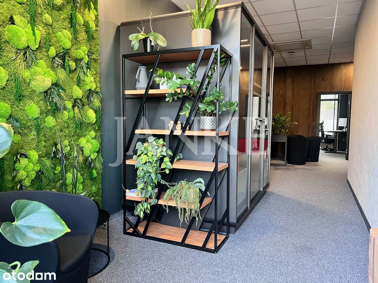 WITRYNA, PARKING, PARTER - centrum - Pełny obrazek: 4/14